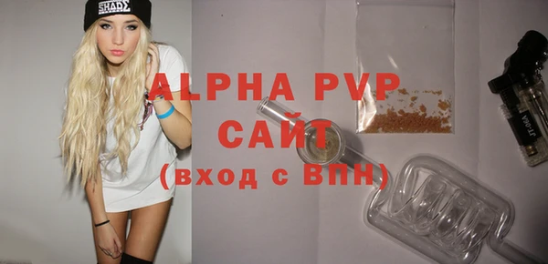 гидра Богородск