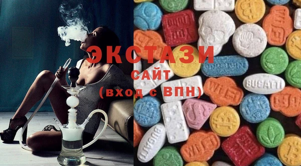 гидра Богородск