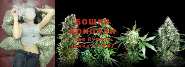 гидра Богородск