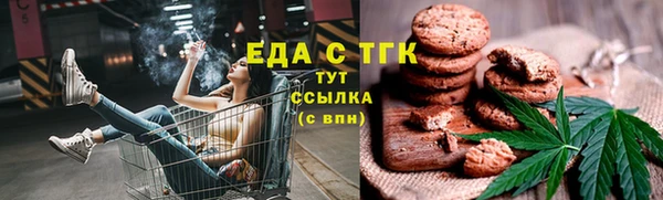 гидра Богородск